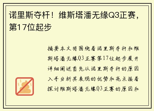 诺里斯夺杆！维斯塔潘无缘Q3正赛，第17位起步